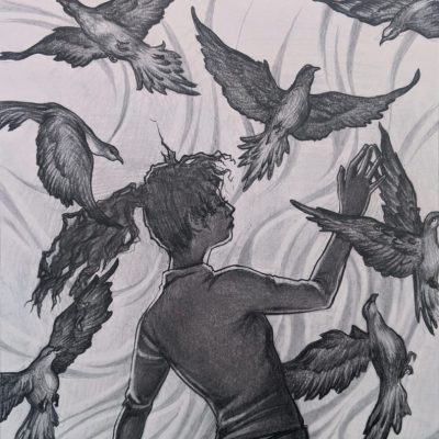 daylight_chasers_birds